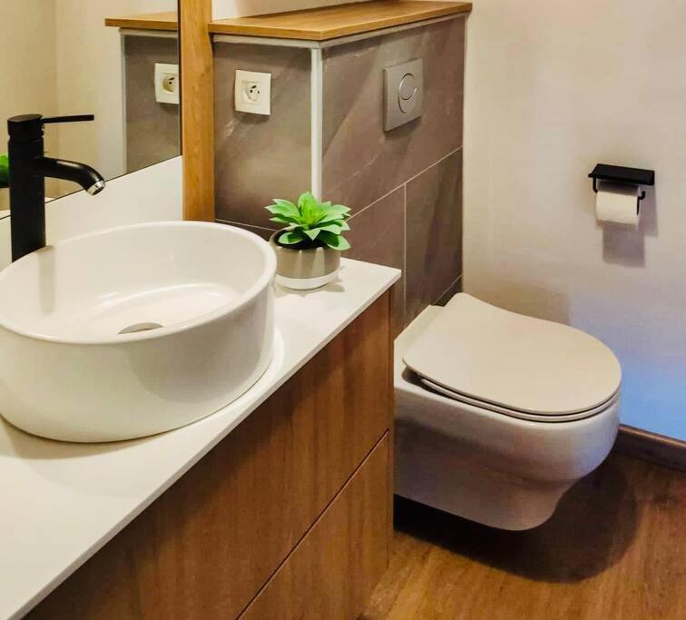 Sunbliss Appartement Saint-Gilles Les Bains Extérieur photo